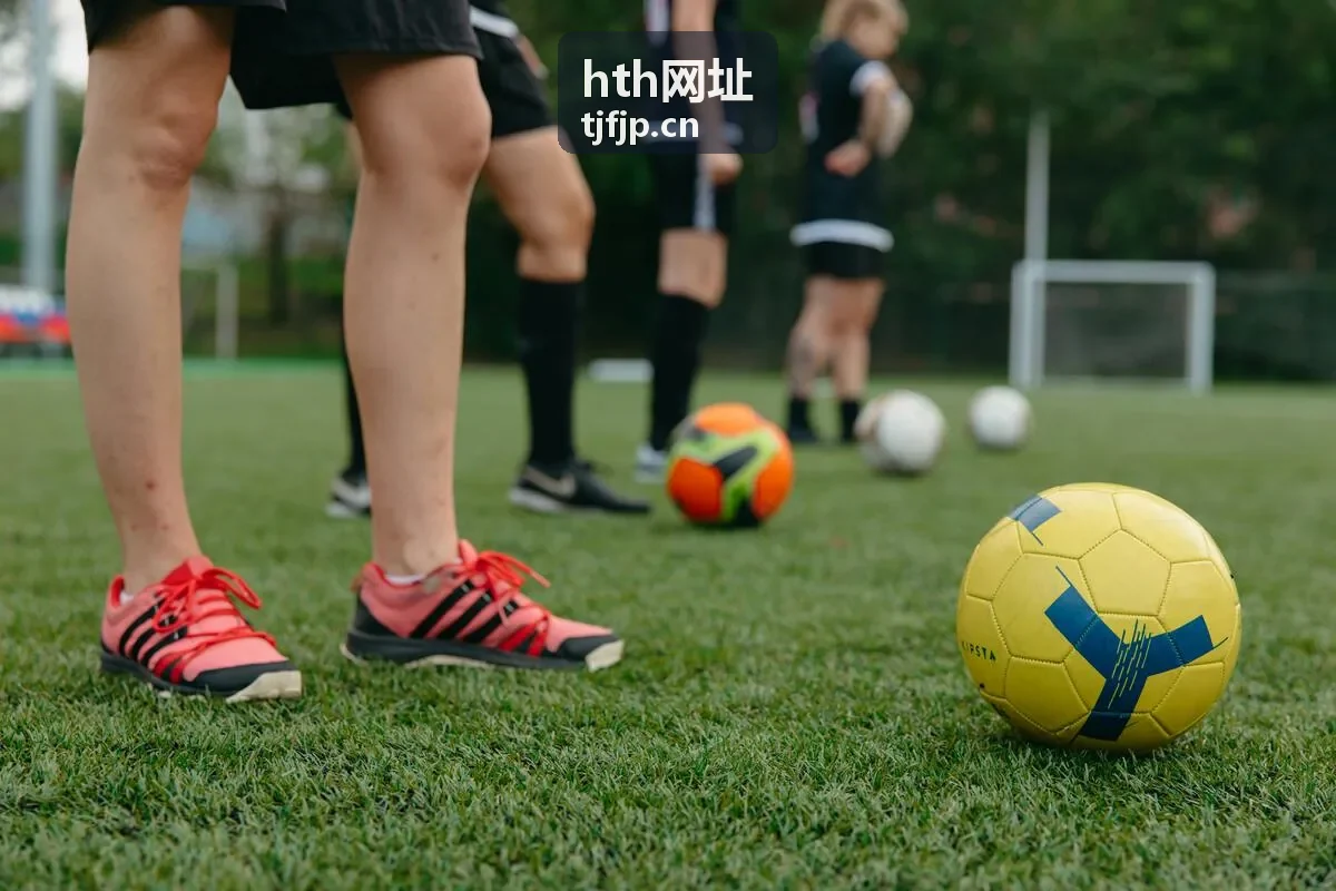 hth网址条目链接稳定性长期观察