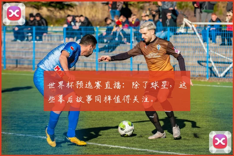 世界杯预选赛直播：除了球星，这些幕后故事同样值得关注。