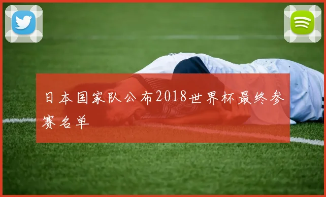 日本国家队公布2018世界杯最终参赛名单