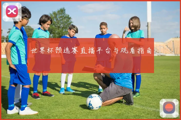 世界杯预选赛直播平台与观看指南