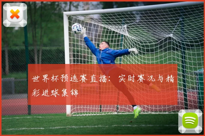 世界杯预选赛直播：实时赛况与精彩进球集锦
