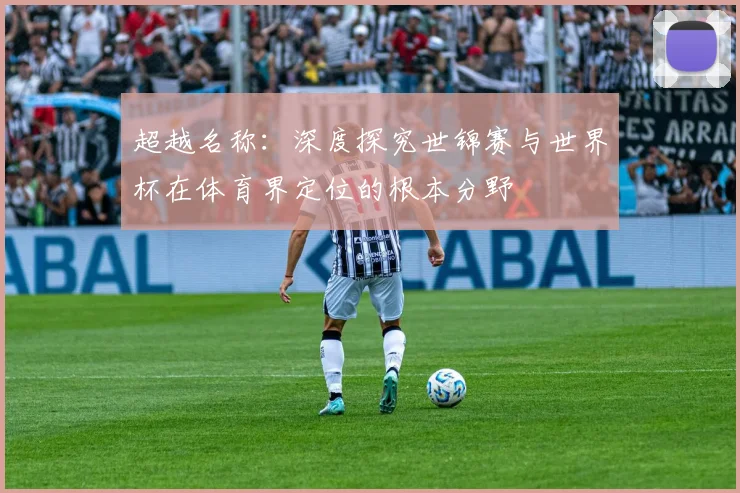 超越名称：深度探究世锦赛与世界杯在体育界定位的根本分野