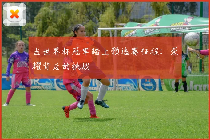 当世界杯冠军踏上预选赛征程:荣耀背后的挑战